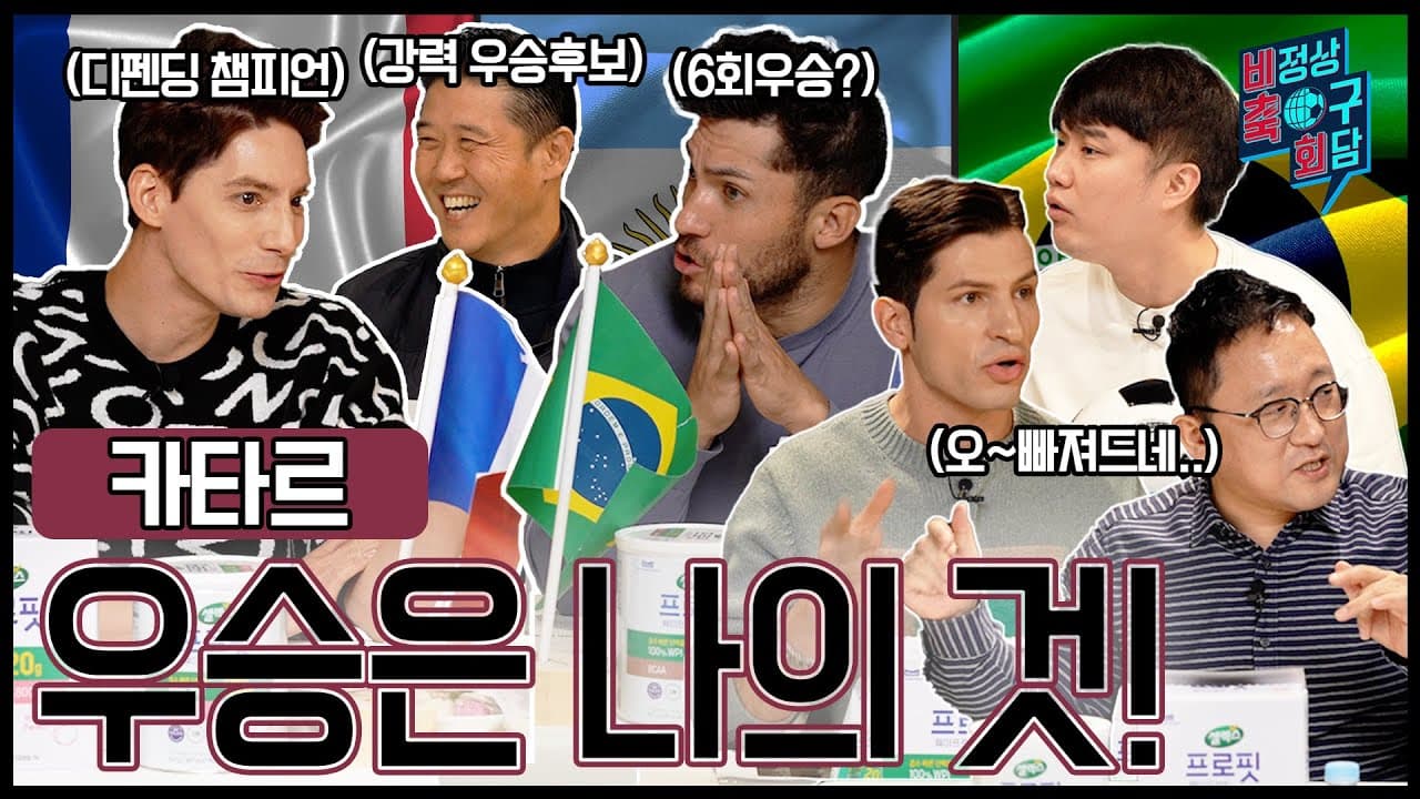 비정상축구회담